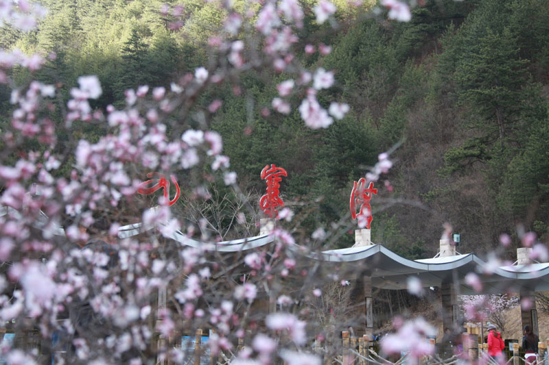 九寨沟景区一季度实现开门红